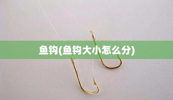 鱼钩(鱼钩大小怎么分)