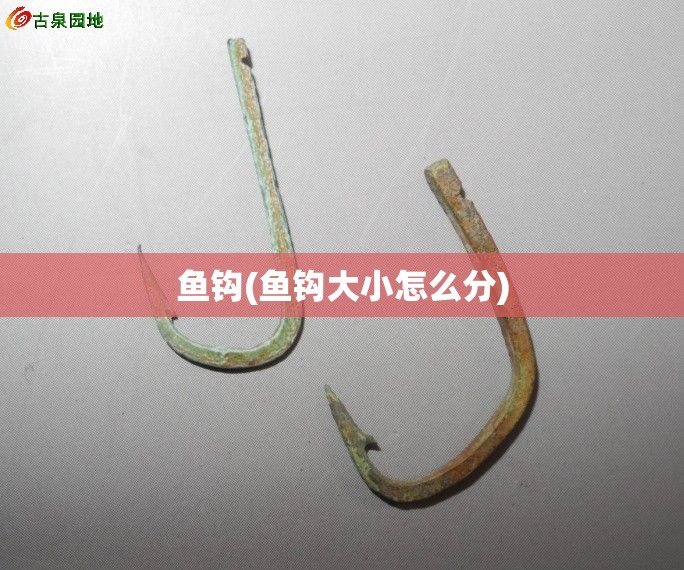 鱼钩(鱼钩大小怎么分)