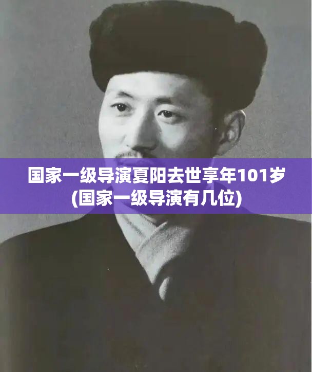 国家一级导演夏阳去世享年101岁(国家一级导演有几位) 国家一级导演夏阳去世享年101岁(国家一级导演有几位)