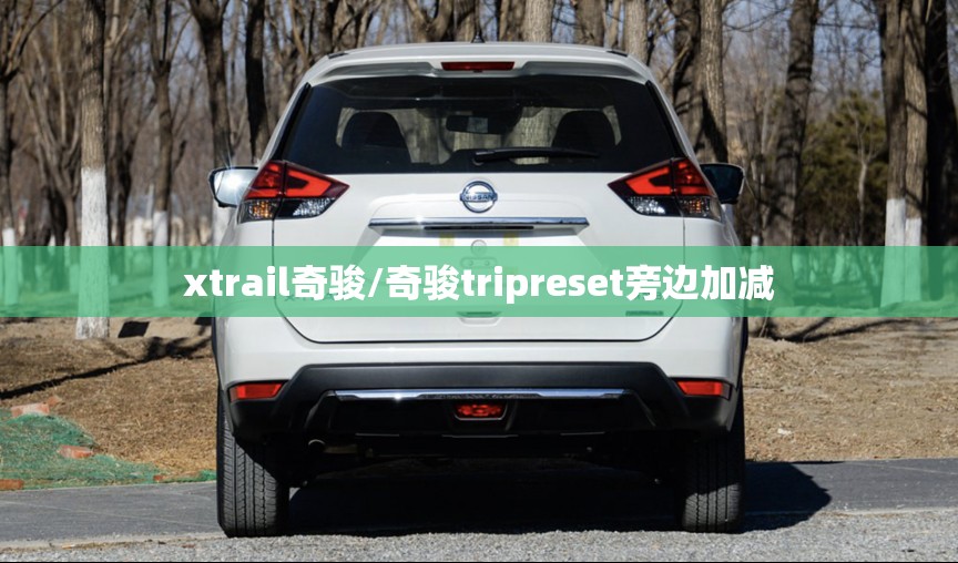 xtrail奇骏/奇骏tripreset旁边加减 xtrail奇骏/奇骏tripreset旁边加减
