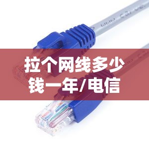 拉个网线多少钱一年/电信拉网线多少钱一年 拉个网线多少钱一年/电信拉网线多少钱一年
