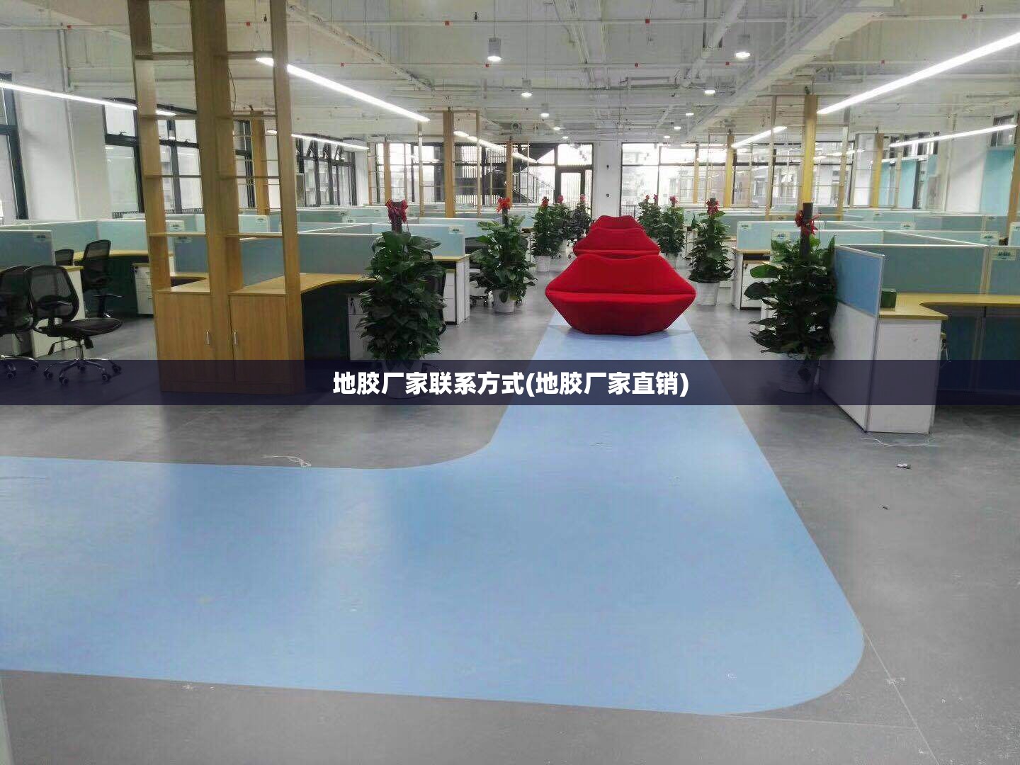 地胶厂家联系方式(地胶厂家直销) 地胶厂家联系方式(地胶厂家直销)