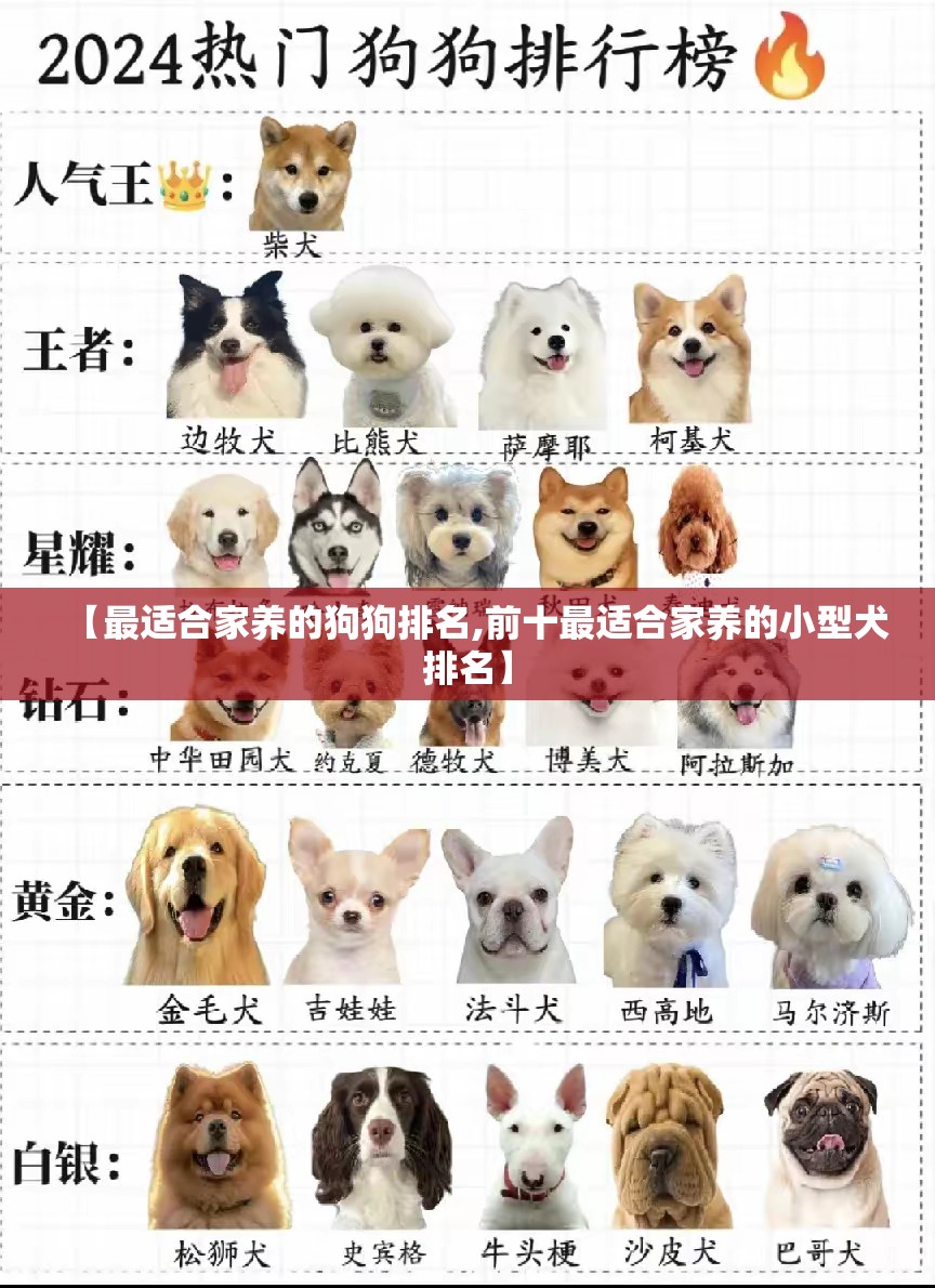 【最适合家养的狗狗排名,前十最适合家养的小型犬排名】