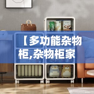 【多功能杂物柜,杂物柜家用】