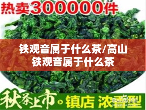 铁观音属于什么茶/高山铁观音属于什么茶 铁观音属于什么茶/高山铁观音属于什么茶
