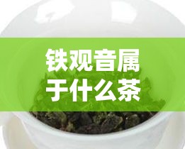 铁观音属于什么茶/高山铁观音属于什么茶 铁观音属于什么茶/高山铁观音属于什么茶
