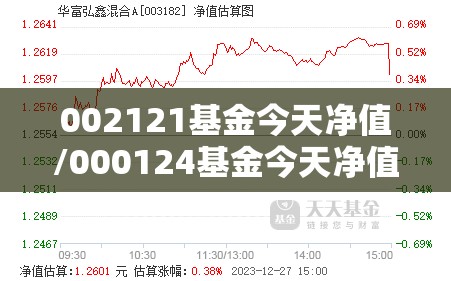002121基金今天净值/000124基金今天净值走势