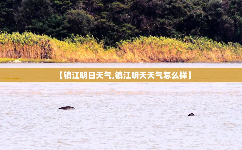 【镇江明日天气,镇江明天天气怎么样】