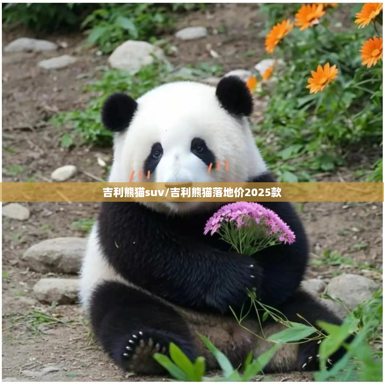 吉利熊猫suv/吉利熊猫落地价2025款 吉利熊猫suv/吉利熊猫落地价2025款
