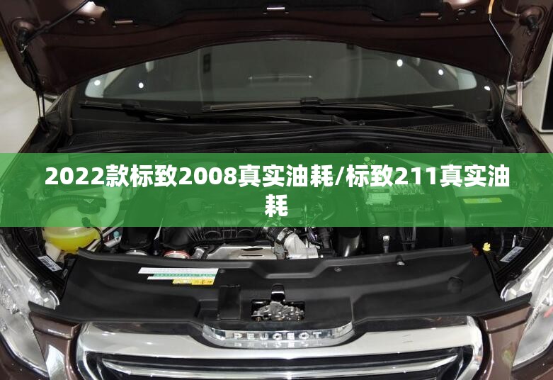 2022款标致2008真实油耗/标致211真实油耗 2022款标致2008真实油耗/标致211真实油耗