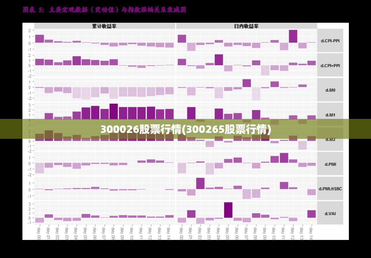 300026股票行情(300265股票行情) 300026股票行情(300265股票行情)