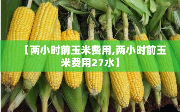 【两小时前玉米费用,两小时前玉米费用27水】 【两小时前玉米费用,两小时前玉米费用27水】