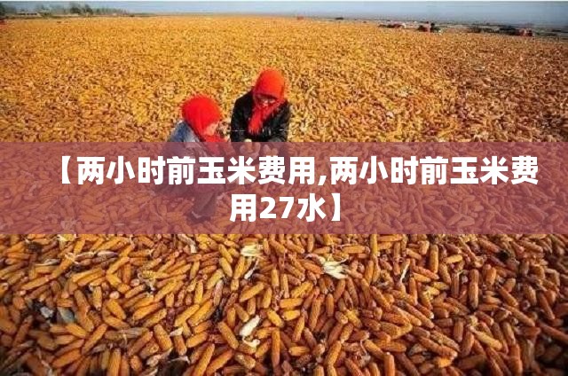 【两小时前玉米费用,两小时前玉米费用27水】 【两小时前玉米费用,两小时前玉米费用27水】