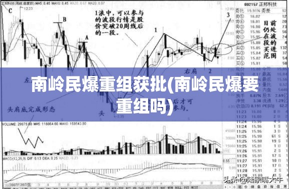 南岭民爆重组获批(南岭民爆要重组吗)