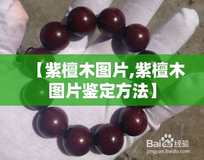 【紫檀木图片,紫檀木图片鉴定方法】 【紫檀木图片,紫檀木图片鉴定方法】