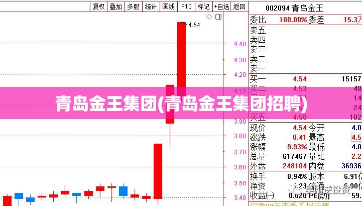 青岛金王集团(青岛金王集团招聘)