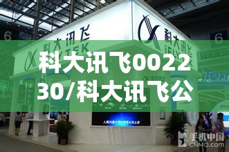 科大讯飞002230/科大讯飞公司简介