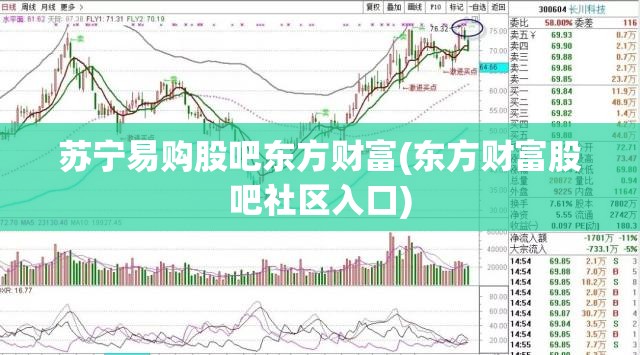 苏宁易购股吧东方财富(东方财富股吧社区入口)