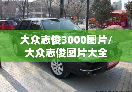 大众志俊3000图片/大众志俊图片大全