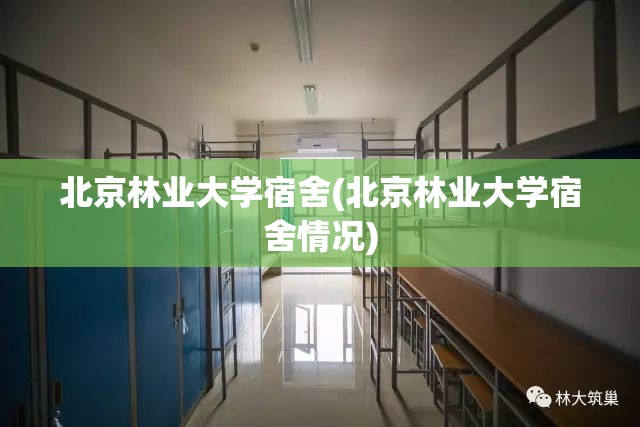 北京林业大学宿舍(北京林业大学宿舍情况)