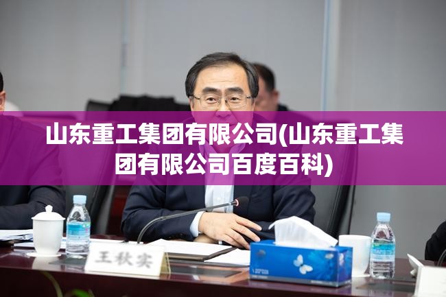 山东重工集团有限公司(山东重工集团有限公司百度百科) 山东重工集团有限公司(山东重工集团有限公司百度百科)