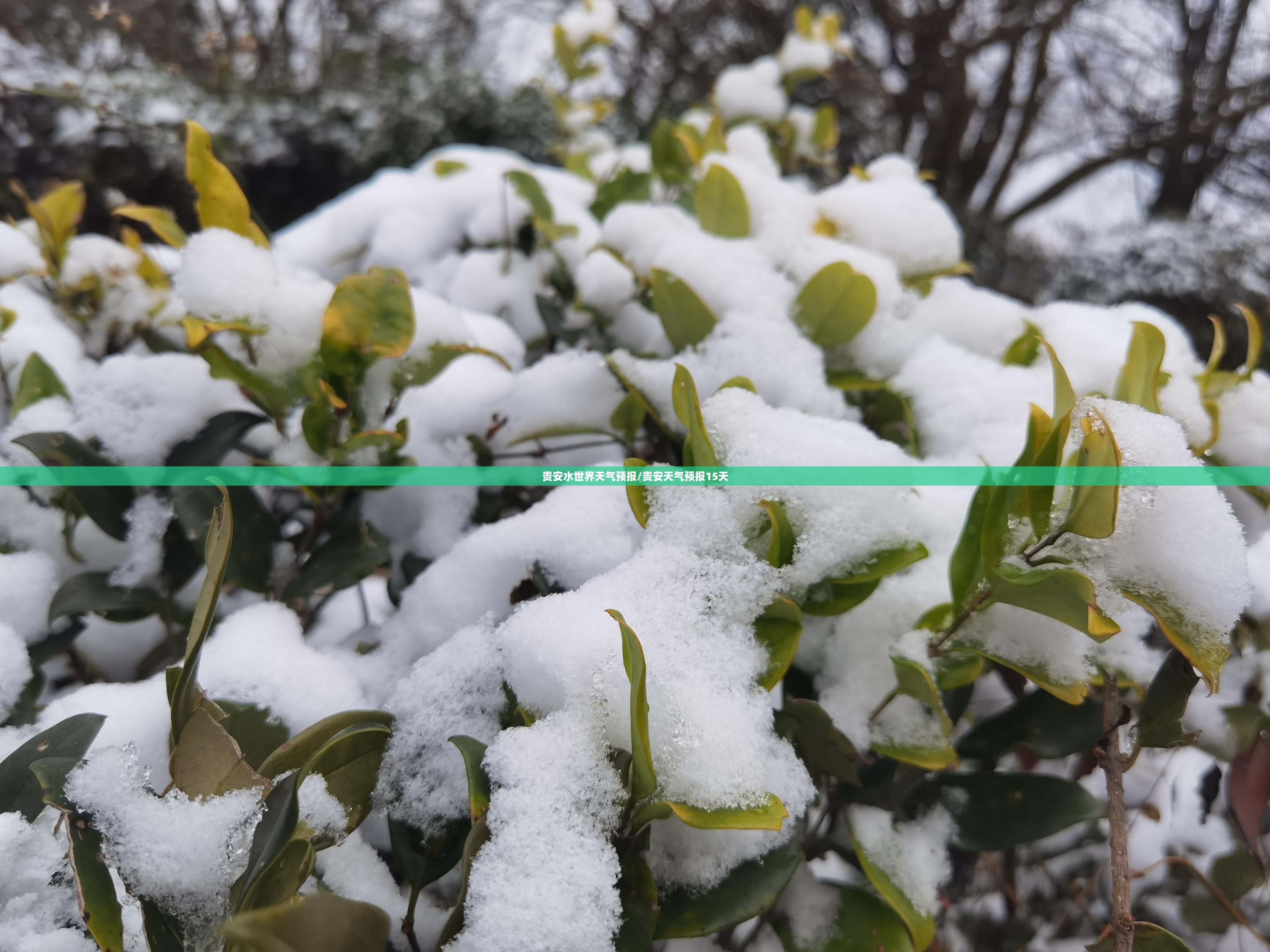 贵安水世界天气预报/贵安天气预报15天