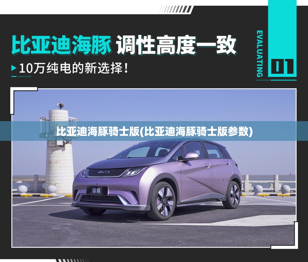 比亚迪海豚骑士版(比亚迪海豚骑士版参数) 比亚迪海豚骑士版(比亚迪海豚骑士版参数)