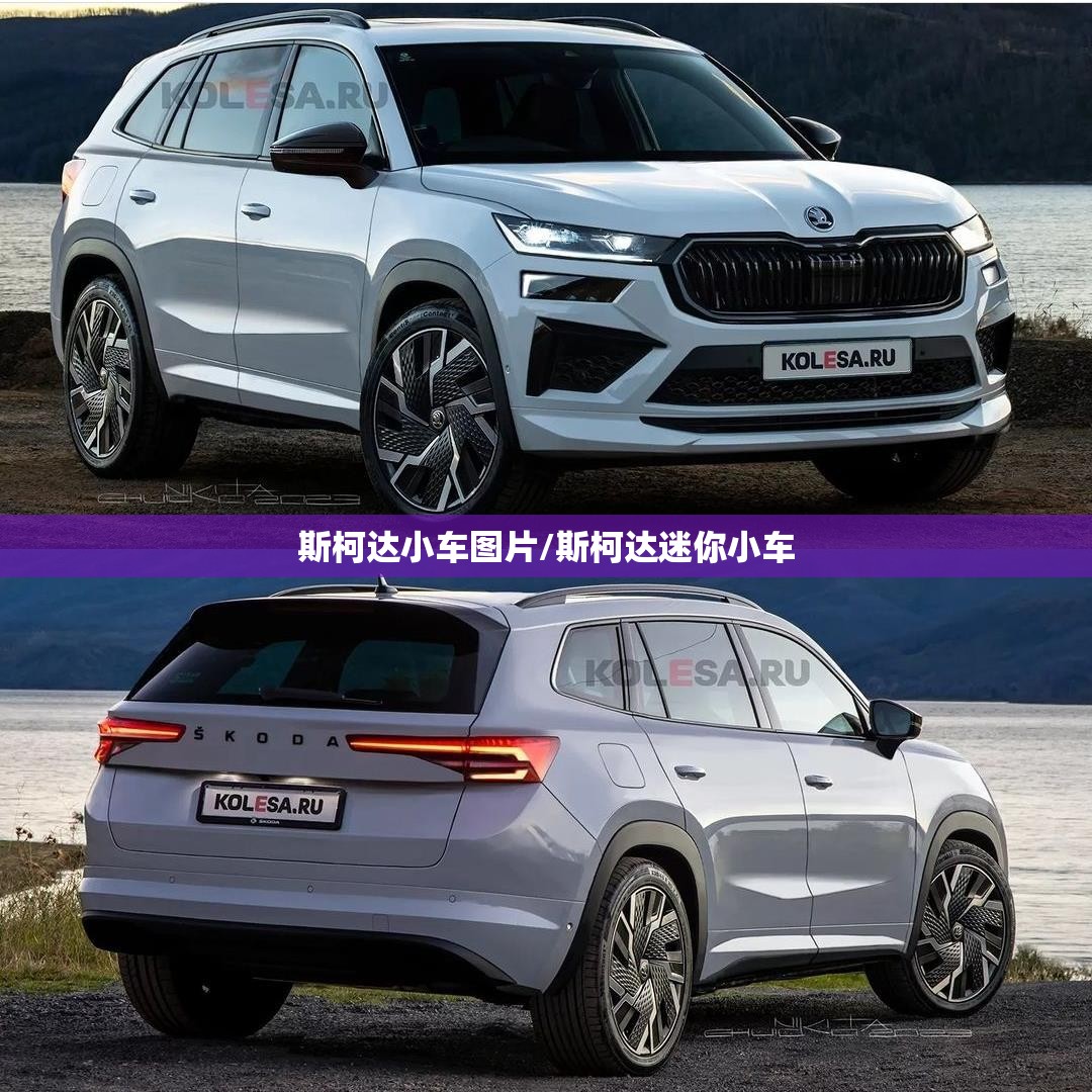 斯柯达小车图片/斯柯达迷你小车 斯柯达小车图片/斯柯达迷你小车