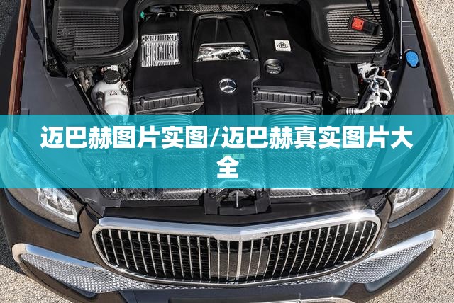 迈巴赫图片实图/迈巴赫真实图片大全 迈巴赫图片实图/迈巴赫真实图片大全