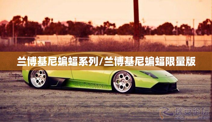 兰博基尼蝙蝠系列/兰博基尼蝙蝠限量版 兰博基尼蝙蝠系列/兰博基尼蝙蝠限量版