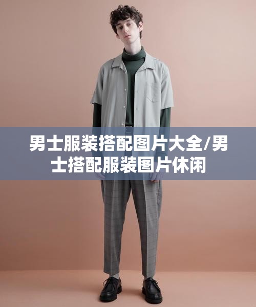 男士服装搭配图片大全/男士搭配服装图片休闲