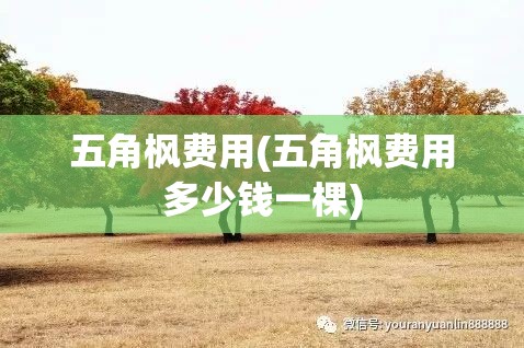 五角枫费用(五角枫费用多少钱一棵) 五角枫费用(五角枫费用多少钱一棵)