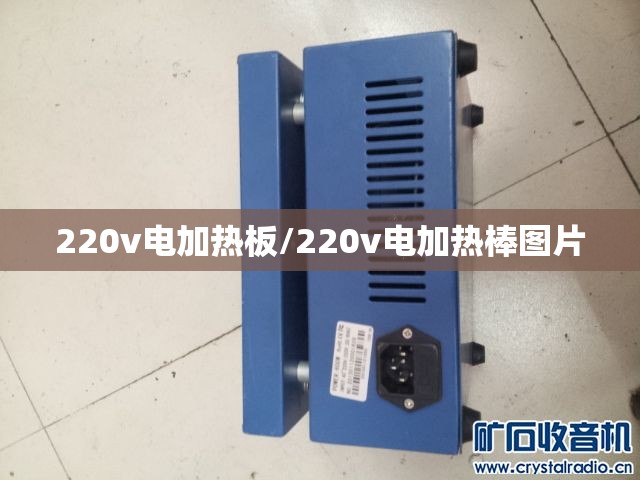 220v电加热板/220v电加热棒图片
