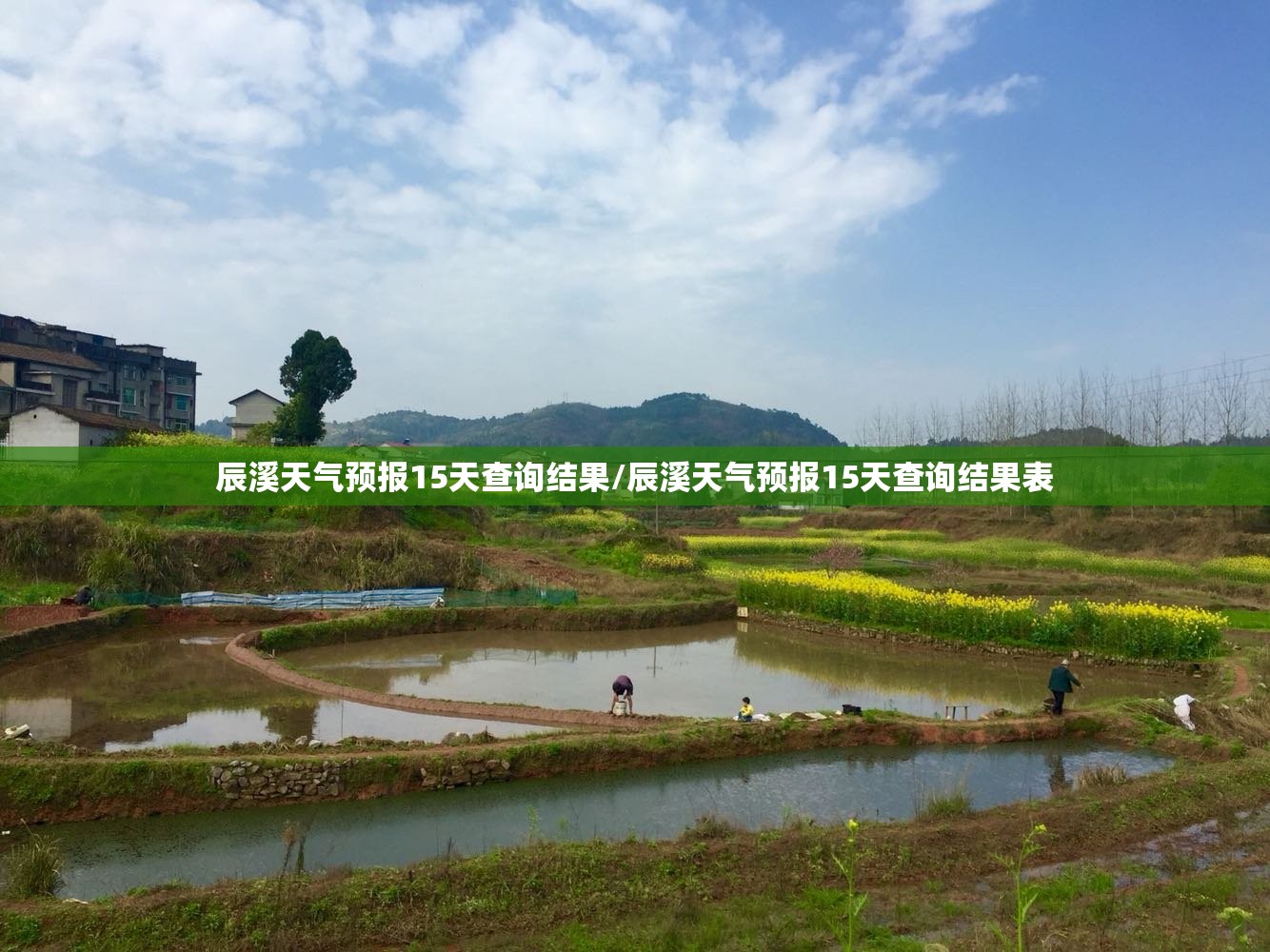 辰溪天气预报15天查询结果/辰溪天气预报15天查询结果表 辰溪天气预报15天查询结果/辰溪天气预报15天查询结果表