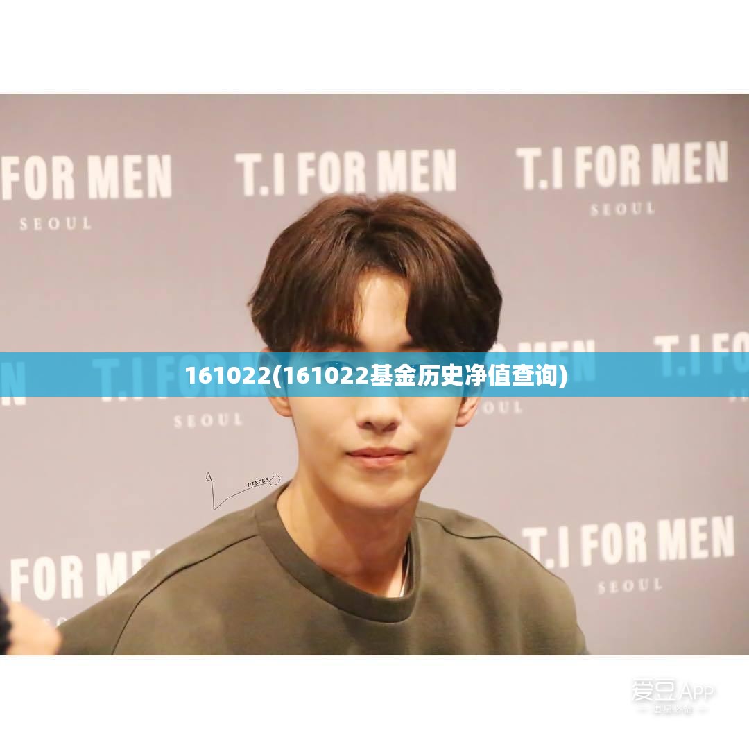 161022(161022基金历史净值查询) 161022(161022基金历史净值查询)