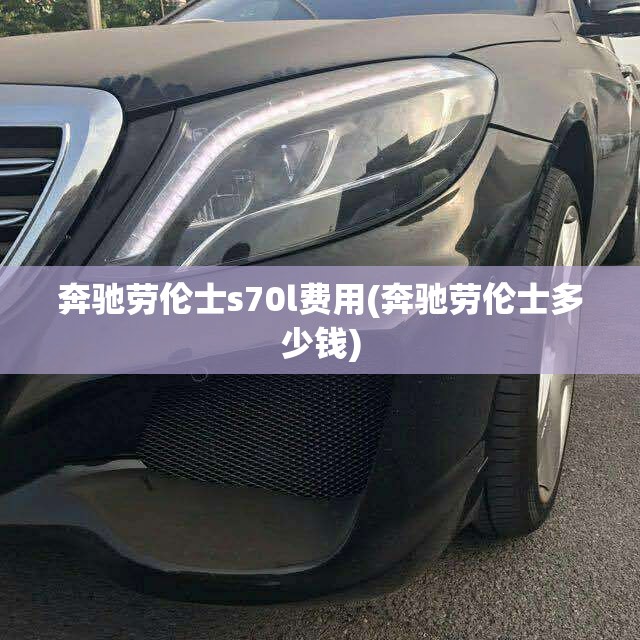 奔驰劳伦士s70l费用(奔驰劳伦士多少钱)