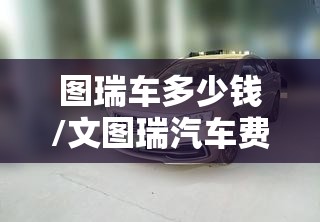 图瑞车多少钱/文图瑞汽车费用 图瑞车多少钱/文图瑞汽车费用