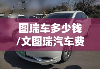 图瑞车多少钱/文图瑞汽车费用 图瑞车多少钱/文图瑞汽车费用