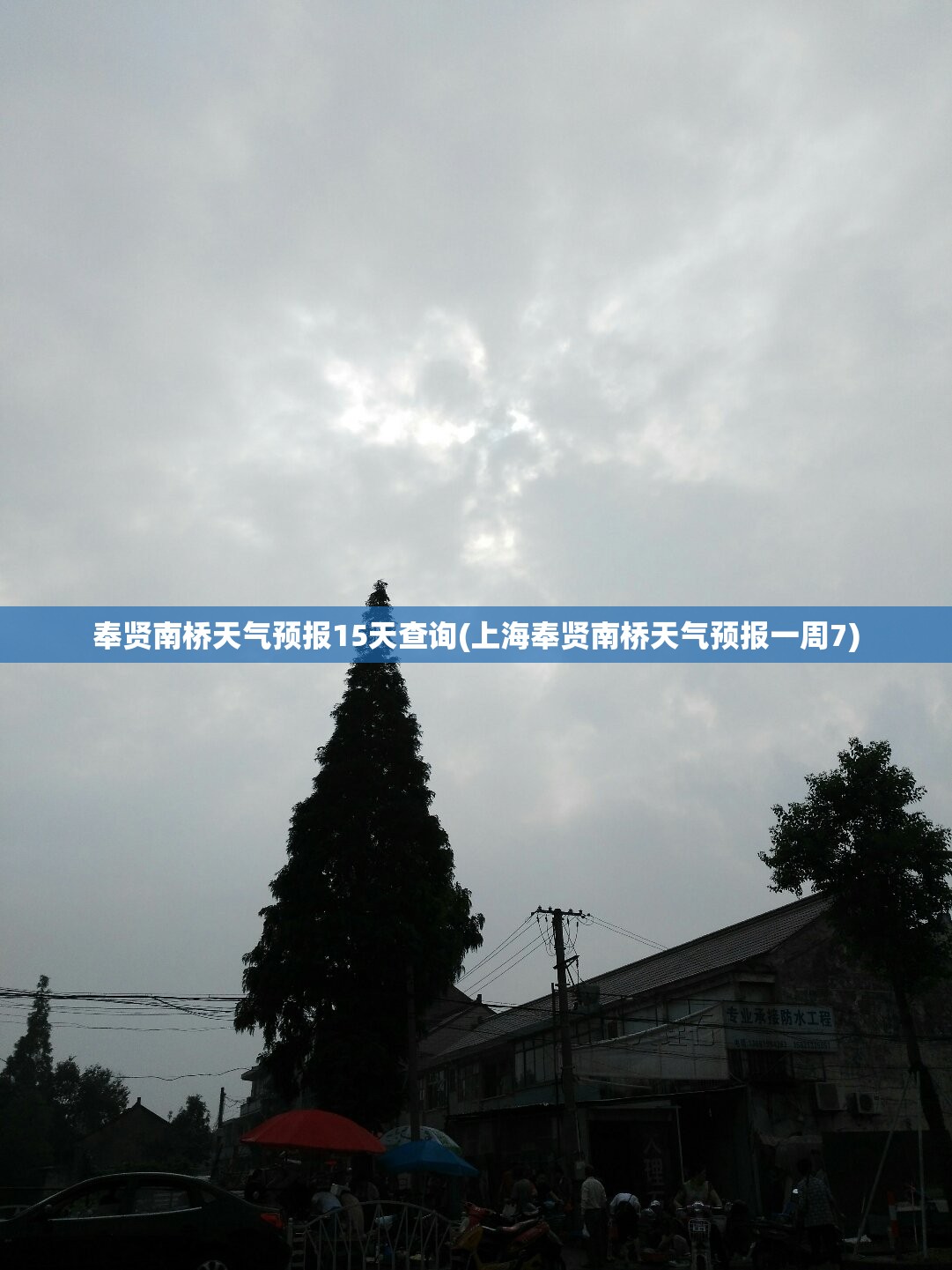 奉贤南桥天气预报15天查询(上海奉贤南桥天气预报一周7) 奉贤南桥天气预报15天查询(上海奉贤南桥天气预报一周7)
