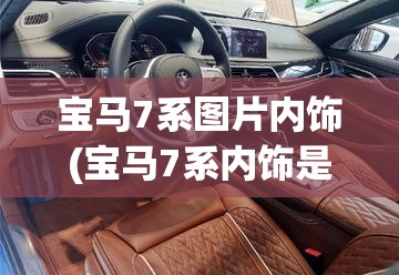宝马7系图片内饰(宝马7系内饰是红色吗)