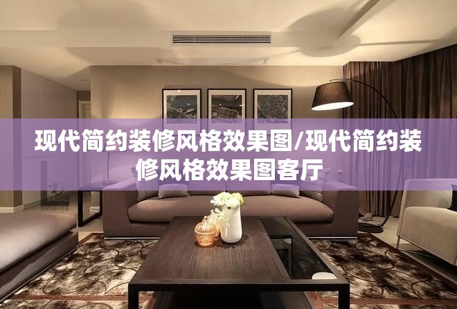 现代简约装修风格效果图/现代简约装修风格效果图客厅 现代简约装修风格效果图/现代简约装修风格效果图客厅