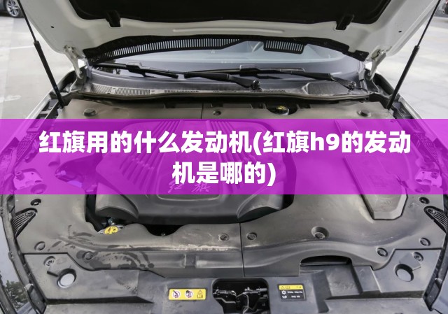 红旗用的什么发动机(红旗h9的发动机是哪的)