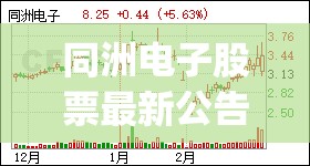同洲电子股票最新公告(同洲电子股票最新公告消息)