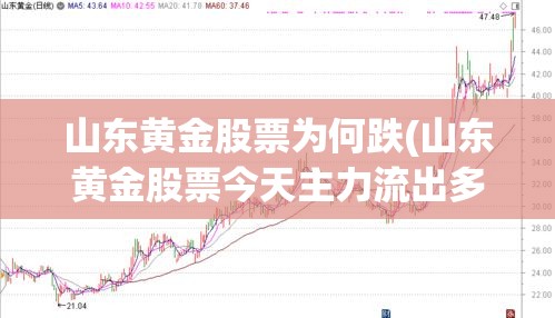 山东黄金股票为何跌(山东黄金股票今天主力流出多少) 山东黄金股票为何跌(山东黄金股票今天主力流出多少)