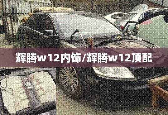 辉腾w12内饰/辉腾w12顶配