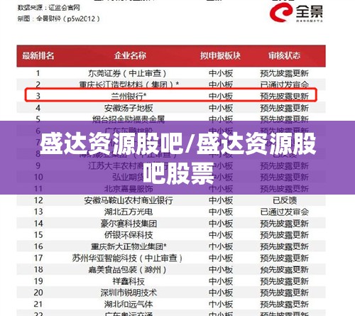 盛达资源股吧/盛达资源股吧股票