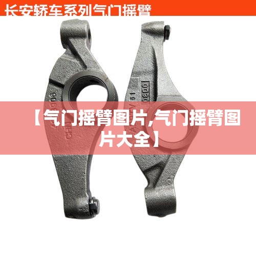 【气门摇臂图片,气门摇臂图片大全】 【气门摇臂图片,气门摇臂图片大全】