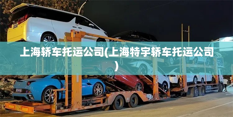 上海轿车托运公司(上海特宇轿车托运公司) 上海轿车托运公司(上海特宇轿车托运公司)