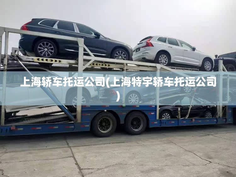 上海轿车托运公司(上海特宇轿车托运公司) 上海轿车托运公司(上海特宇轿车托运公司)