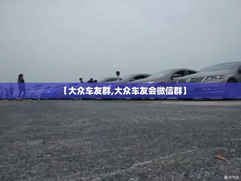 【大众车友群,大众车友会微信群】